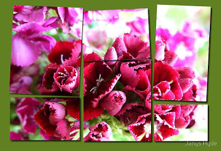 Digital darkroom florals
